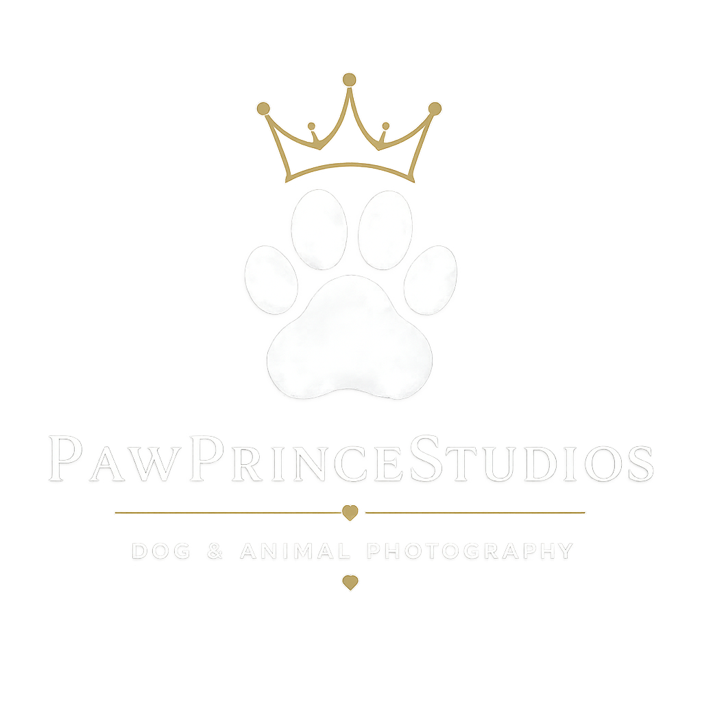 Paw Prince Studios dog and animal photography logo